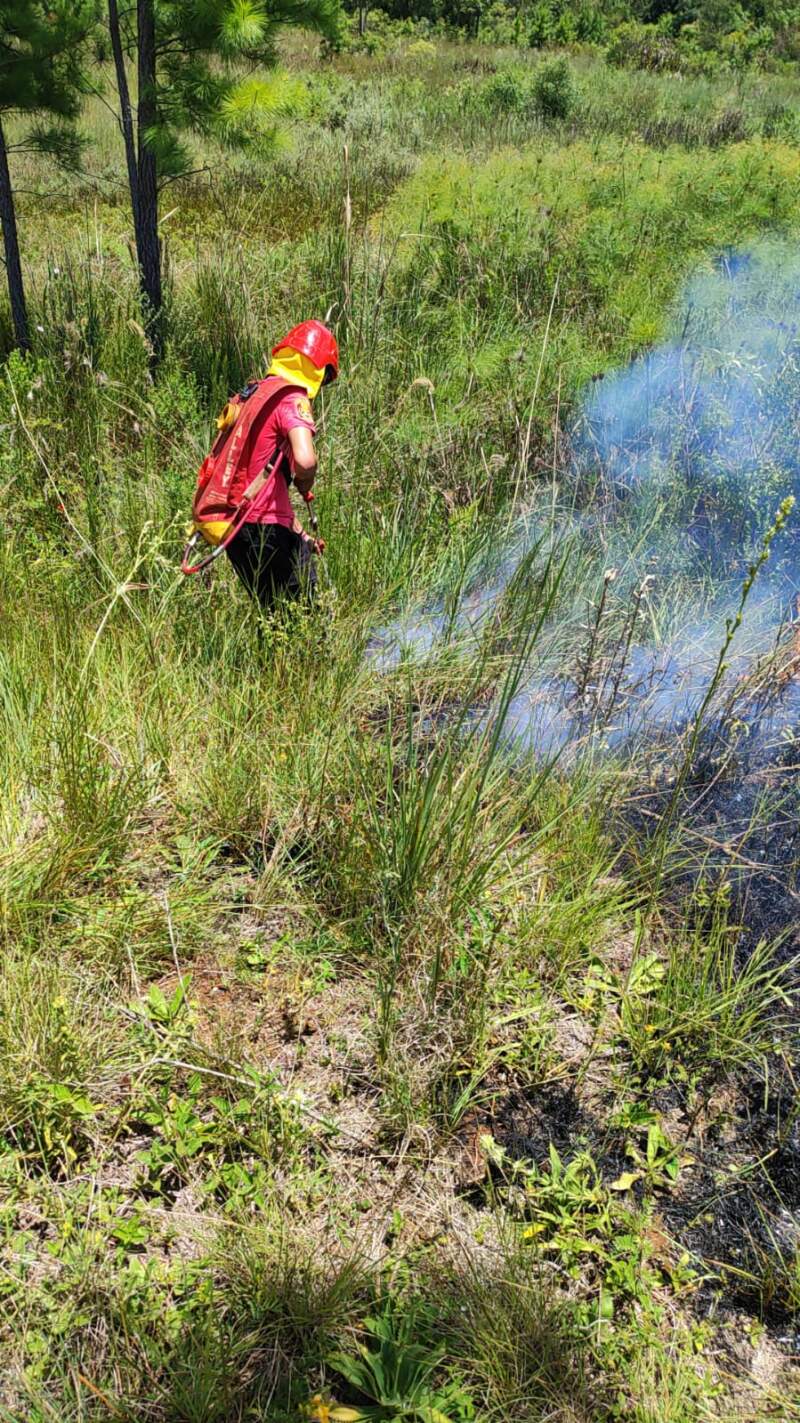 Bomberos sofocaron un incendio de malezas en cercanías del Parque Industrial de Santa Ana 7 Bomberos sofocaron un incendio de malezas en cercanías del Parque Industrial de Santa Ana imagen-6