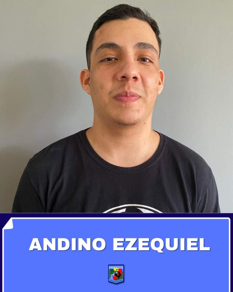 Posadas: amplio operativo para recapturar a cuatro detenidos evadidos de la UR-X 7 Posadas: amplio operativo para recapturar a cuatro detenidos evadidos de la UR-X imagen-6