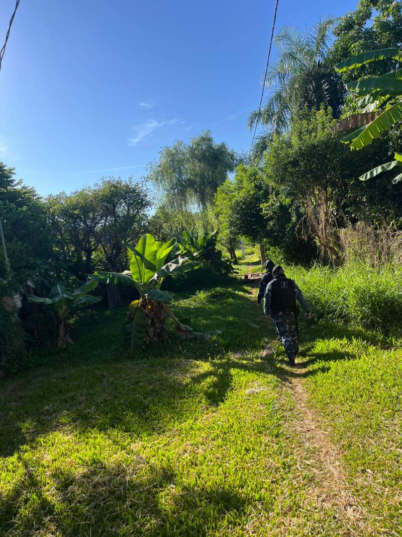 Sin novedades en la búsqueda de los cuatro evadidos en Posadas imagen-2