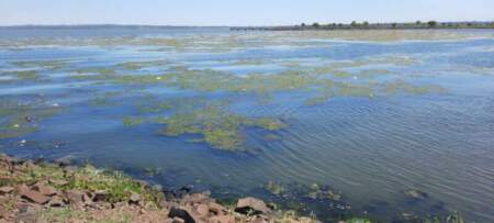 Posadas: veraneantes reclaman limpieza en la zona de El Brete imagen-5