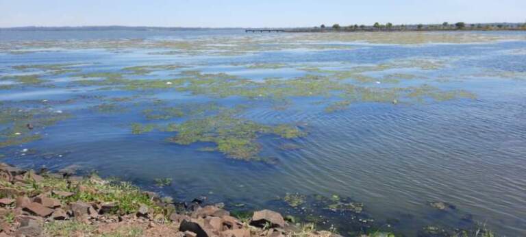 Posadas: veraneantes reclaman limpieza en la zona de El Brete imagen-17