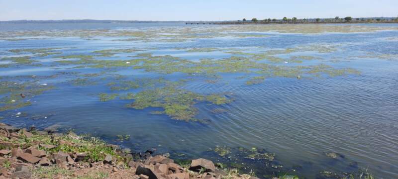 Posadas: veraneantes reclaman limpieza en la zona de El Brete imagen-15