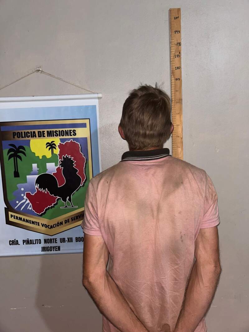 Caza ilegal en Piñalito Norte: detenidos y armas secuestradas imagen-2