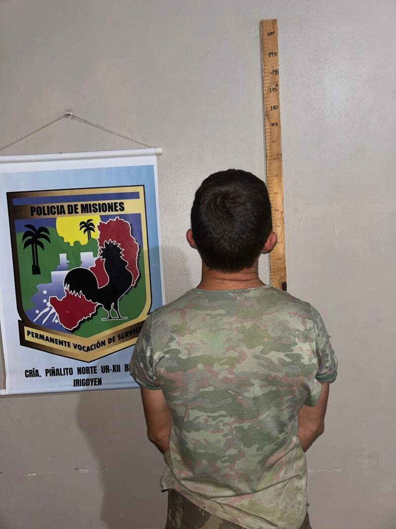 Caza ilegal en Piñalito Norte: detenidos y armas secuestradas imagen-4