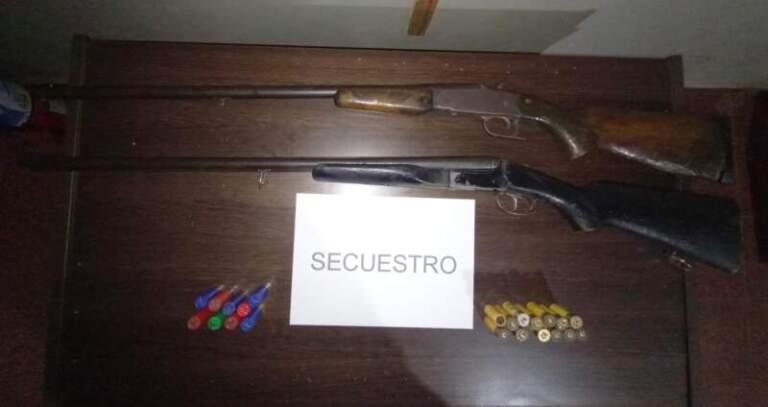 Caza ilegal en Piñalito Norte: detenidos y armas secuestradas imagen-28