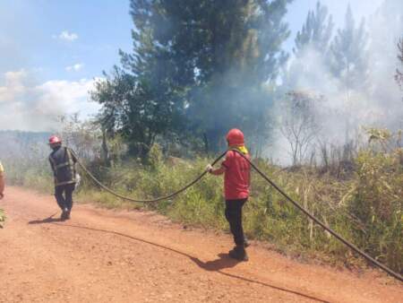 Un incendio de malezas afectó unas 10 hectáreas en Loreto imagen-4