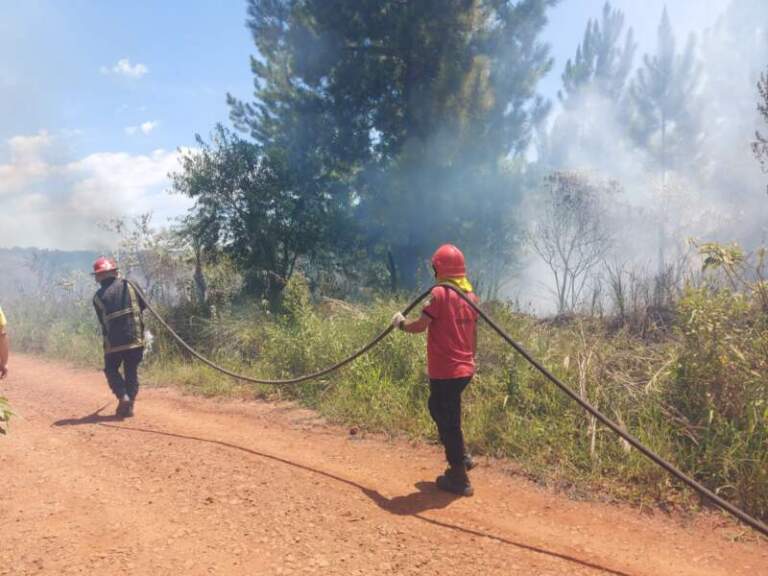 Un incendio de malezas afectó unas 10 hectáreas en Loreto Un incendio de malezas afectó unas 10 hectáreas en Loreto imagen-41