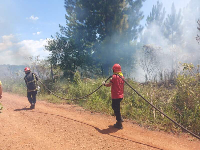 Un incendio de malezas afectó unas 10 hectáreas en Loreto Un incendio de malezas afectó unas 10 hectáreas en Loreto imagen-17