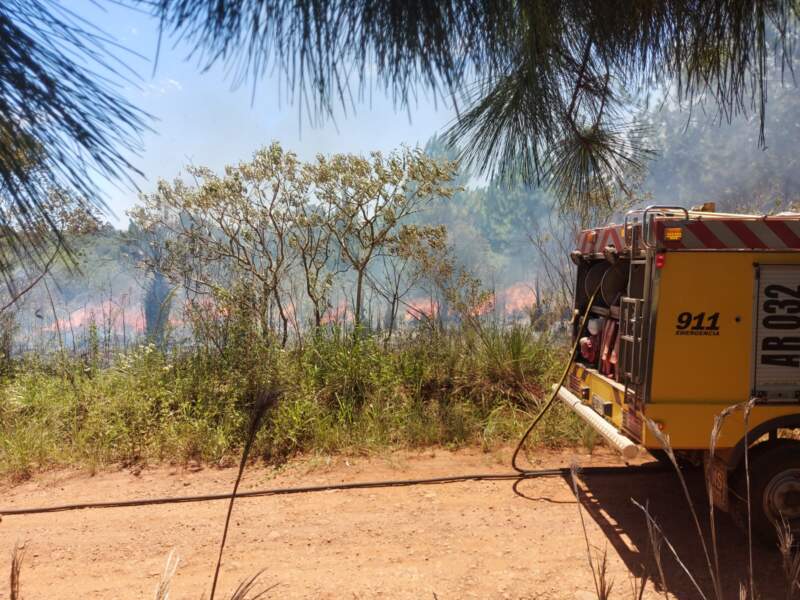 Un incendio de malezas afectó unas 10 hectáreas en Loreto imagen-4