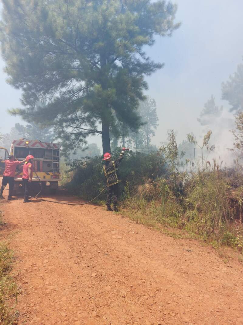 Un incendio de malezas afectó unas 10 hectáreas en Loreto imagen-2