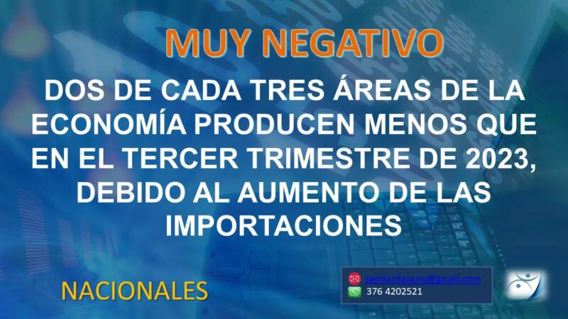 Importaciones en alza: dos de cada tres áreas de la economía producen menos que en 2023 imagen-14