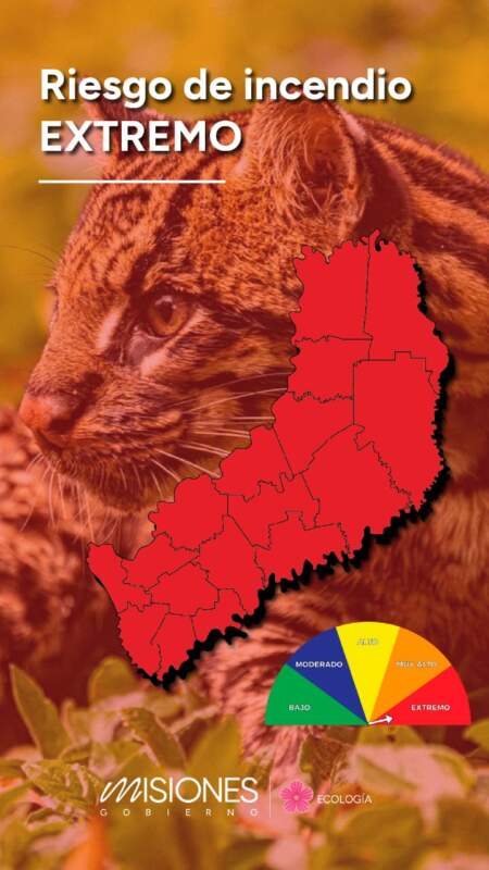Advierten riesgo extremo de incendios en todo el territorio provincial imagen-2