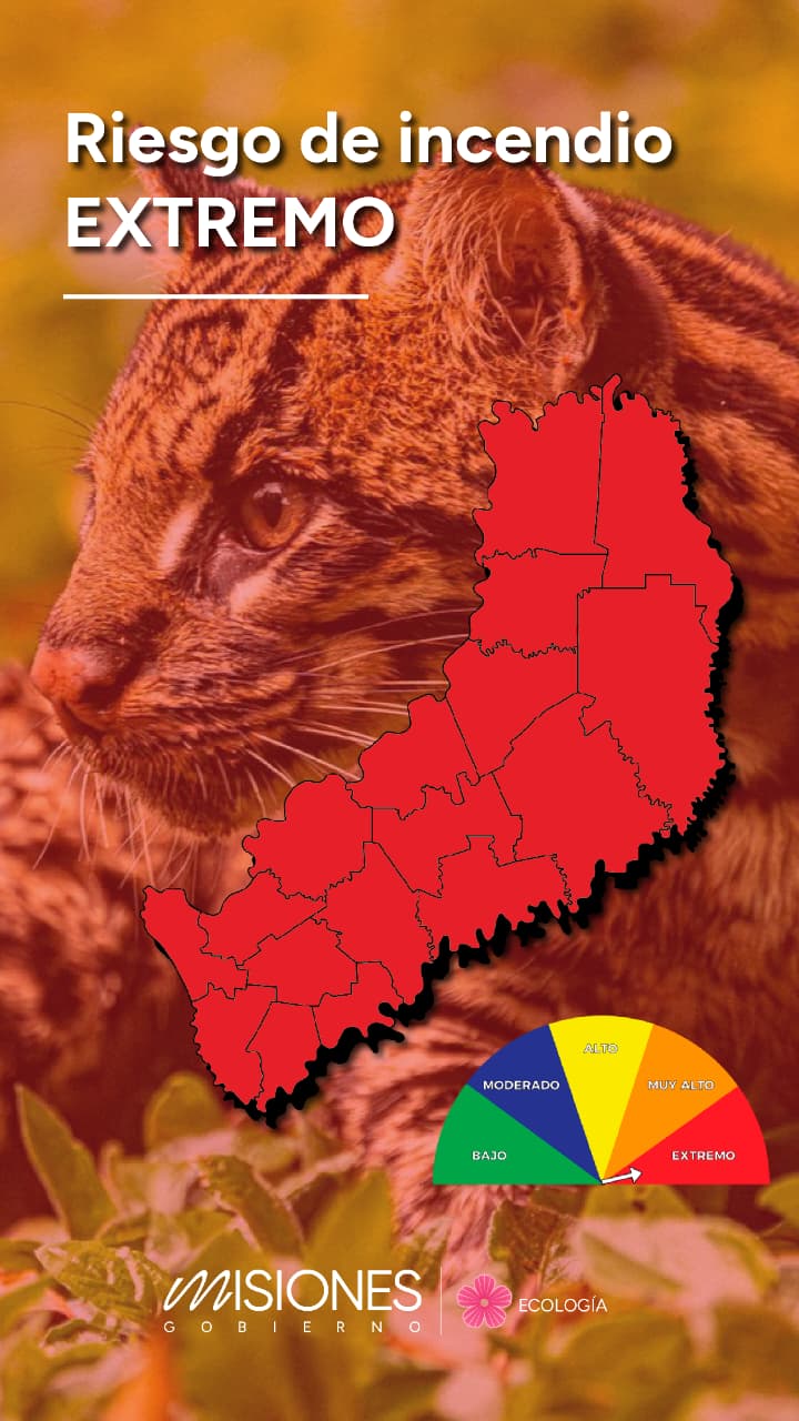 Advierten riesgo extremo de incendios en todo el territorio provincial imagen-11