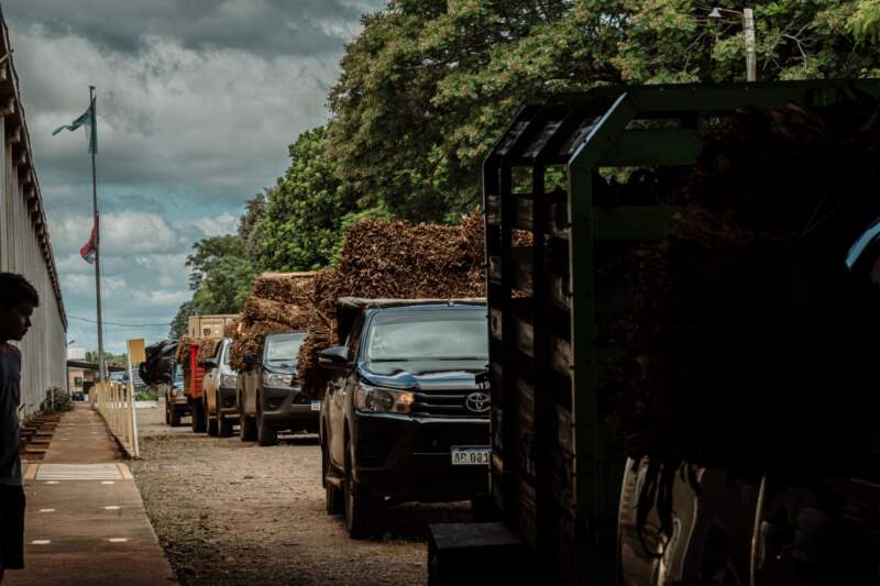 Passalacqua anunció el acuerdo del precio del tabaco y destacó el diálogo como eje para sostener la producción 3 Passalacqua anunció el acuerdo del precio del tabaco y destacó el diálogo como eje para sostener la producción imagen-2