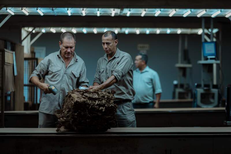 Passalacqua anunció el acuerdo del precio del tabaco y destacó el diálogo como eje para sostener la producción 5 Passalacqua anunció el acuerdo del precio del tabaco y destacó el diálogo como eje para sostener la producción imagen-4