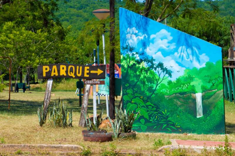 Con la plantación de árboles, se celebró el Día Mundial de la Reducción de Emisiones de CO₂ en la Capital Provincial del Aire Puro imagen-4
