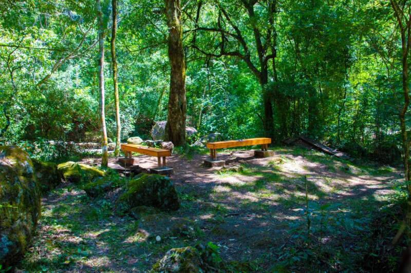 Con la plantación de árboles, se celebró el Día Mundial de la Reducción de Emisiones de CO₂ en la Capital Provincial del Aire Puro imagen-20