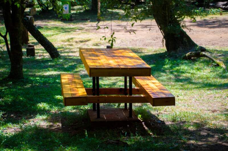 Con la plantación de árboles, se celebró el Día Mundial de la Reducción de Emisiones de CO₂ en la Capital Provincial del Aire Puro imagen-22