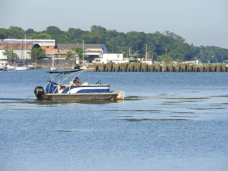 Posadas intensifica el monitoreo y las acciones de saneamiento en cuerpos de agua locales 5 Posadas intensifica el monitoreo y las acciones de saneamiento en cuerpos de agua locales imagen-4