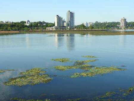 Posadas intensifica el monitoreo y las acciones de saneamiento en cuerpos de agua locales Posadas intensifica el monitoreo y las acciones de saneamiento en cuerpos de agua locales imagen-4
