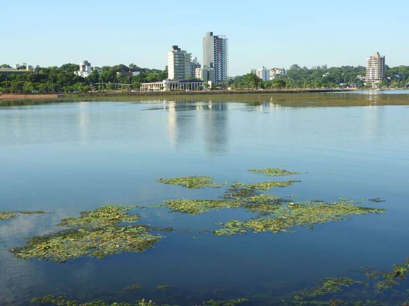 Posadas intensifica el monitoreo y las acciones de saneamiento en cuerpos de agua locales imagen-6