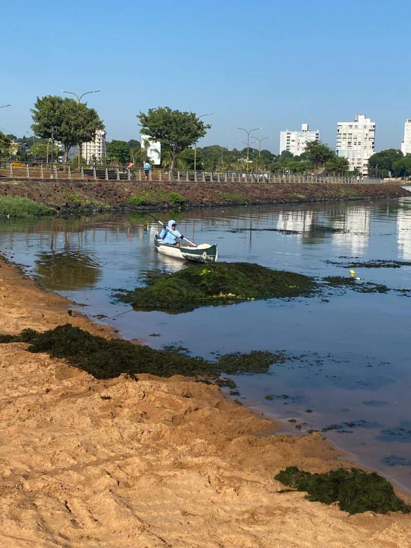 Posadas intensifica el monitoreo y las acciones de saneamiento en cuerpos de agua locales 3 Posadas intensifica el monitoreo y las acciones de saneamiento en cuerpos de agua locales imagen-2