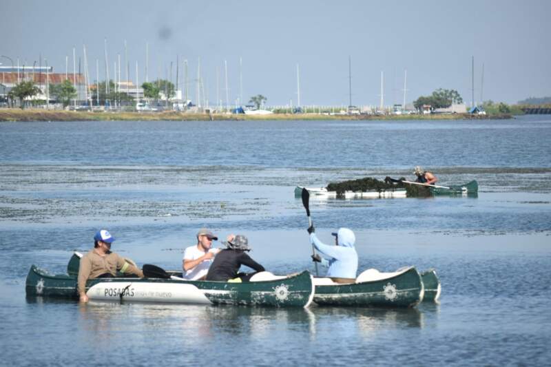 La Comuna posadeña refuerza los trabajos de limpieza en El Brete 3 La Comuna posadeña refuerza los trabajos de limpieza en El Brete imagen-2