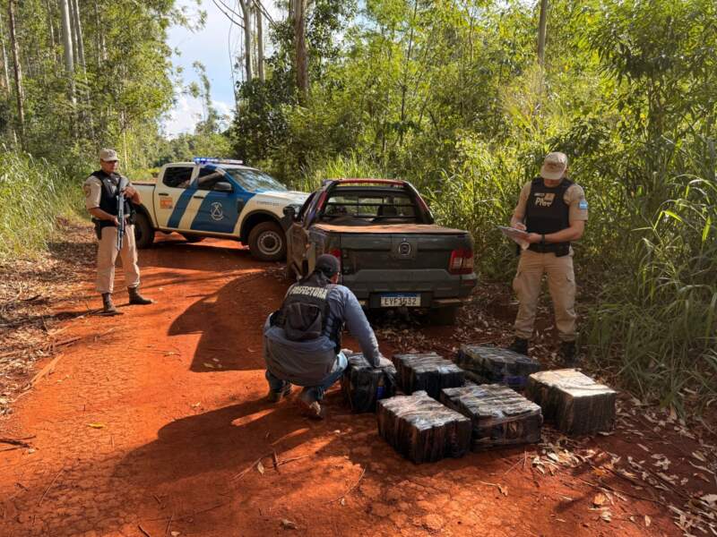 Prefectura secuestró más de 130 kilos de marihuana en el Alto Paraná valuado en casi $500 millones imagen-4