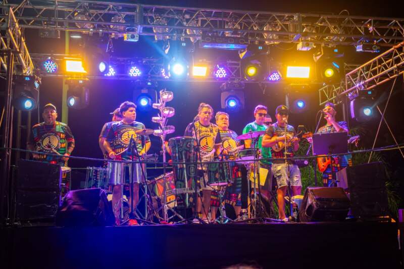 Color, ritmo y tradición: Posadas dio inicio a los Carnavales Provinciales imagen-2