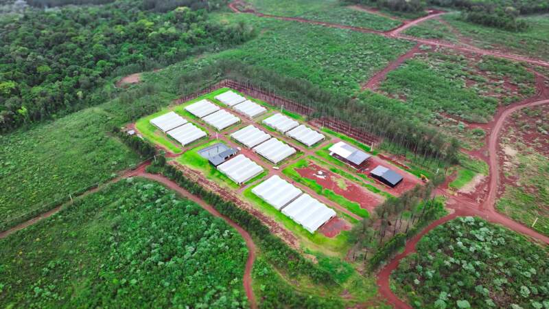 Producción hortícola sustentable: Misiones valida nuevas tecnologías biológicas imagen-6