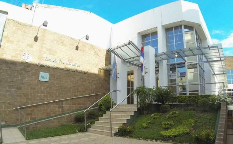 El Consejo de Ciencias Económicas de Misiones señaló que la bonificación del 30% en Ingresos Brutos favorece a los profesionales y mejora su situación fiscal imagen-5