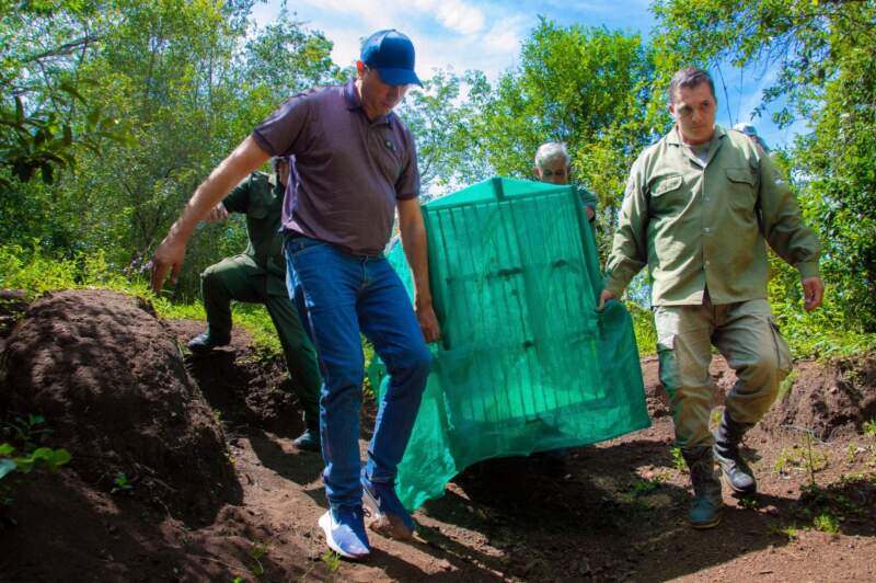 Un carpincho, un ñandú y un tucán víctimas del mascotismo fueron liberados tras su recuperación en el Parque Ecológico El Puma imagen-20
