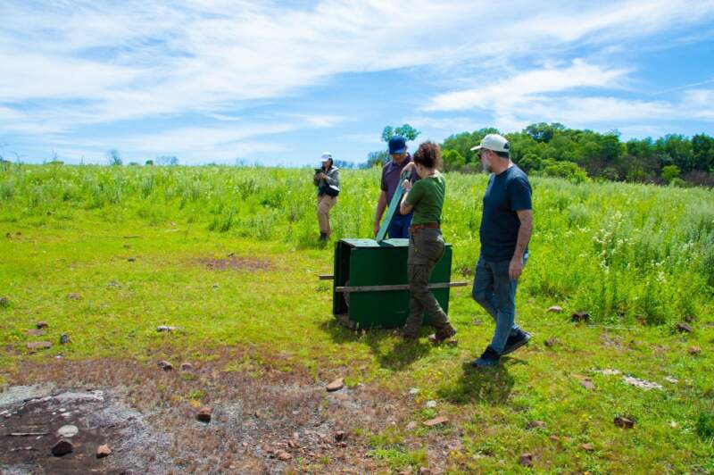 Un carpincho, un ñandú y un tucán víctimas del mascotismo fueron liberados tras su recuperación en el Parque Ecológico El Puma imagen-18