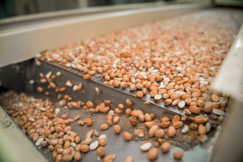 Argentina alcanzó en 2025 récord de exportaciones agroindustriales en toneladas Argentina alcanzó en 2025 récord de exportaciones agroindustriales en toneladas imagen-1