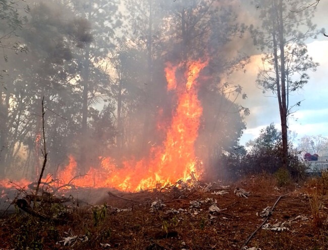 Posadas: fortalecen la prevención y respuesta ante incendios en la ciudad imagen-12