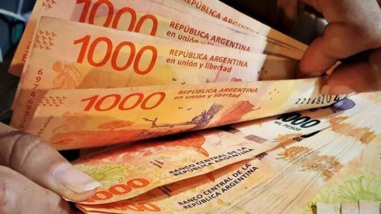 Sueldos promedios en la Argentina y la ubicación de Misiones imagen-10