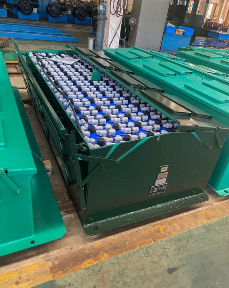 El Tren Ecológico de la Selva incorpora nuevas locomotoras eléctricas y refuerza su perfil sustentable imagen-2