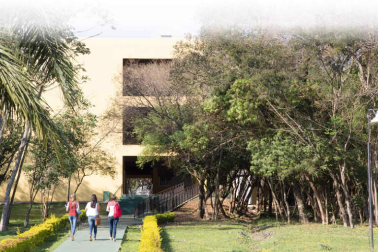 Inclusión educativa y preparación para el mundo laboral: Ucami dispone de los últimos cupos en su Programa de Formación para personas con discapacidad imagen-40