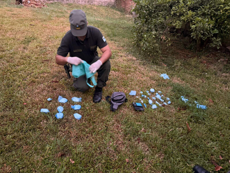 Investigan y desbaratan una organización narcocriminal, 13 allanamientos se realizaron en Misiones 7 Investigan y desbaratan una organización narcocriminal, 13 allanamientos se realizaron en Misiones imagen-6