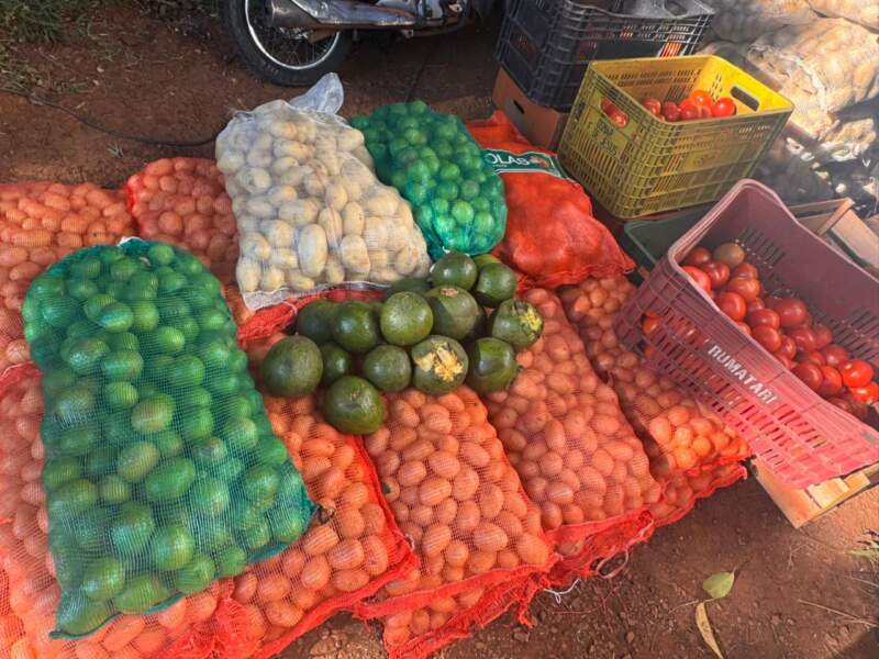 Senasa evitó el ingreso a la provincia de más de 17 toneladas de productos sin condiciones sanitarias 5 Senasa evitó el ingreso a la provincia de más de 17 toneladas de productos sin condiciones sanitarias imagen-4