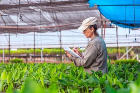 Biofábrica Misiones: más del 80% de los puestos jerárquicos son ocupados por mujeres imagen-7