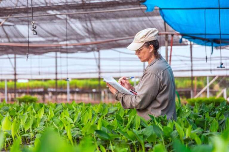 Biofábrica Misiones: más del 80% de los puestos jerárquicos son ocupados por mujeres imagen-19