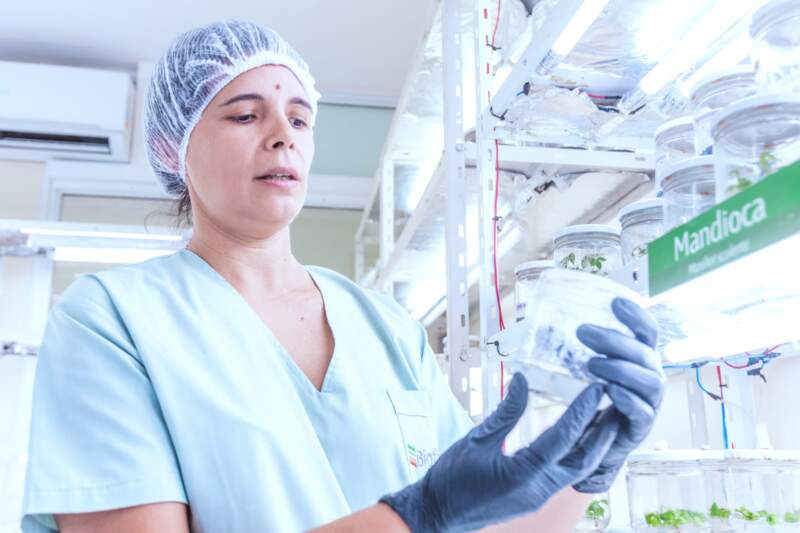 Biofábrica Misiones: más del 80% de los puestos jerárquicos son ocupados por mujeres imagen-8