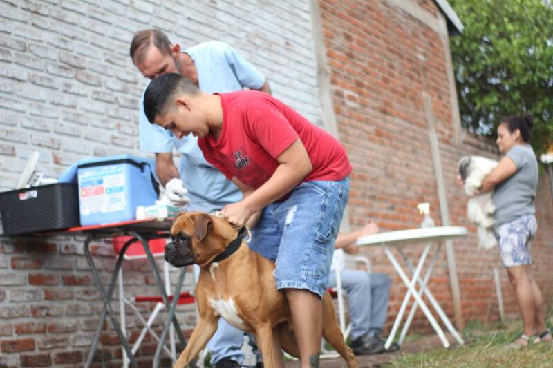 El Quirófano Móvil del IMuSa brindó atención gratuita en Cocomarola Oeste  imagen-2
