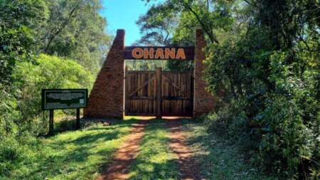 El Centro de Rescate Ohana cuestionó demoras en una causa por delitos contra la fauna y solicitó participación formal en el proceso El Centro de Rescate Ohana cuestionó demoras en una causa por delitos contra la fauna y solicitó participación formal en el proceso imagen-5