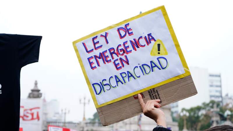 Avanza la reglamentación de la Ley de Emergencia en Discapacidad: qué cambia en las pensiones, los pagos y los controles imagen-8