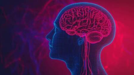 Los riesgos ocultos que producen las olas de calor en la salud cerebral y las alteraciones cognitivas Los riesgos ocultos que producen las olas de calor en la salud cerebral y las alteraciones cognitivas imagen-13