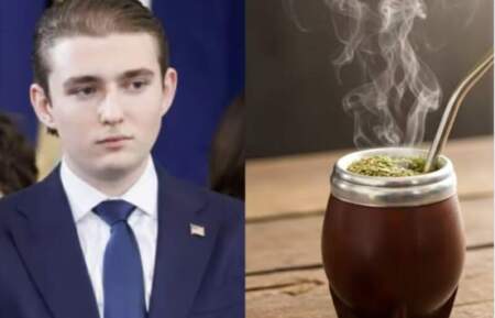 Yerba Mate: Qué se sabe del proyecto de Barron Trump Yerba Mate: Qué se sabe del proyecto de Barron Trump imagen-14