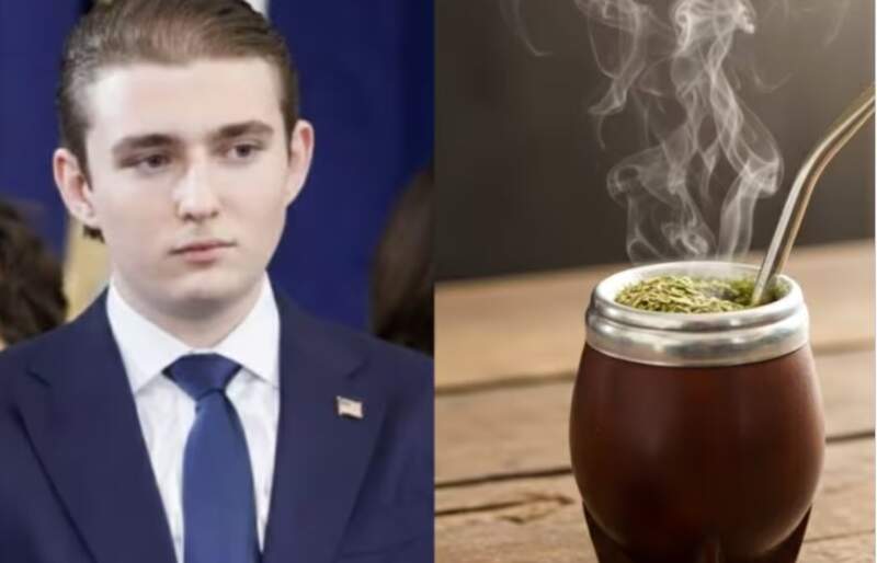 Yerba Mate: Qué se sabe del proyecto de Barron Trump imagen-13