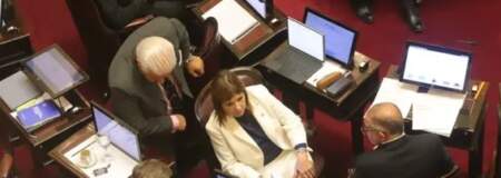 Reforma a la ley de Glaciares: los intereses provinciales destrabaron una esforzada media sanción en el Senado imagen-2